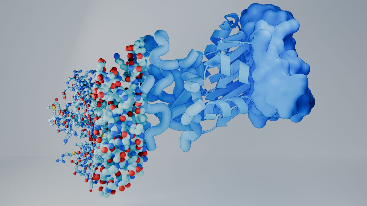 3D Molecular Model Example